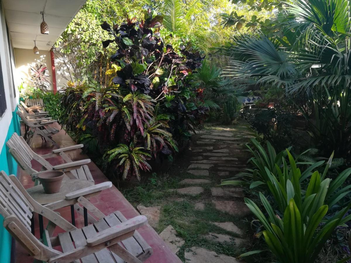 Hostal Harvest House Leon Ngoại thất bức ảnh