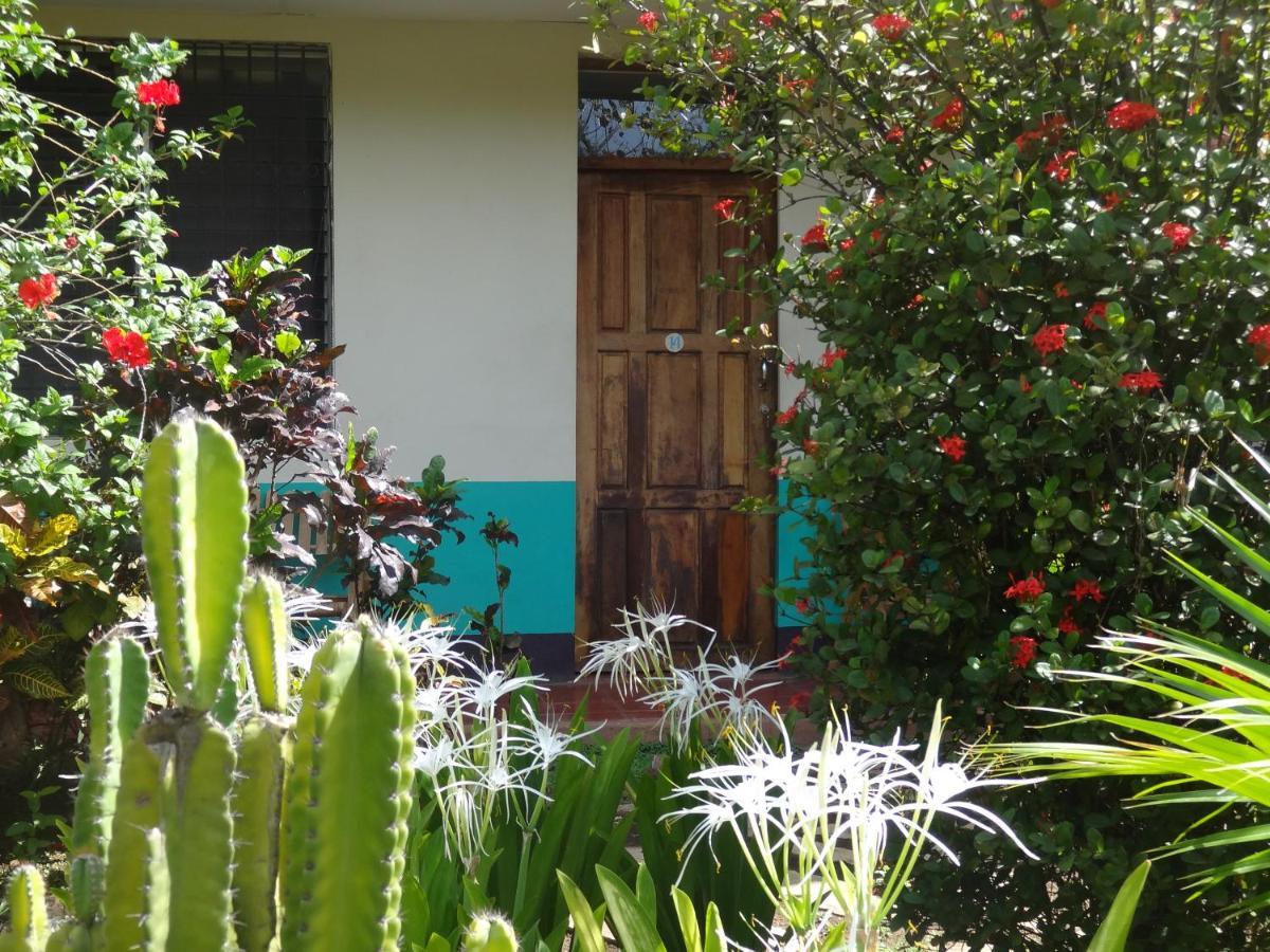 Hostal Harvest House Leon Ngoại thất bức ảnh