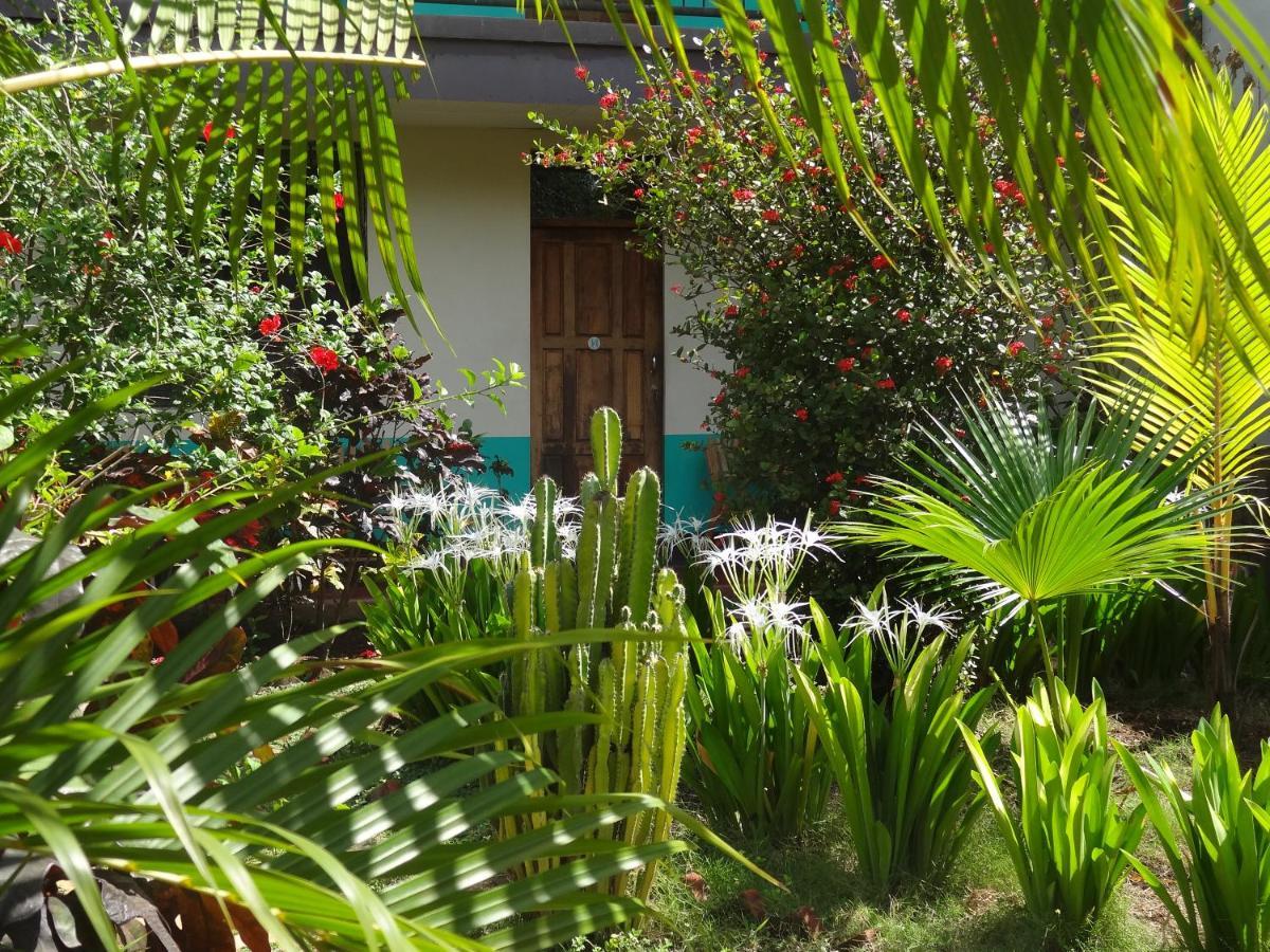 Hostal Harvest House Leon Ngoại thất bức ảnh